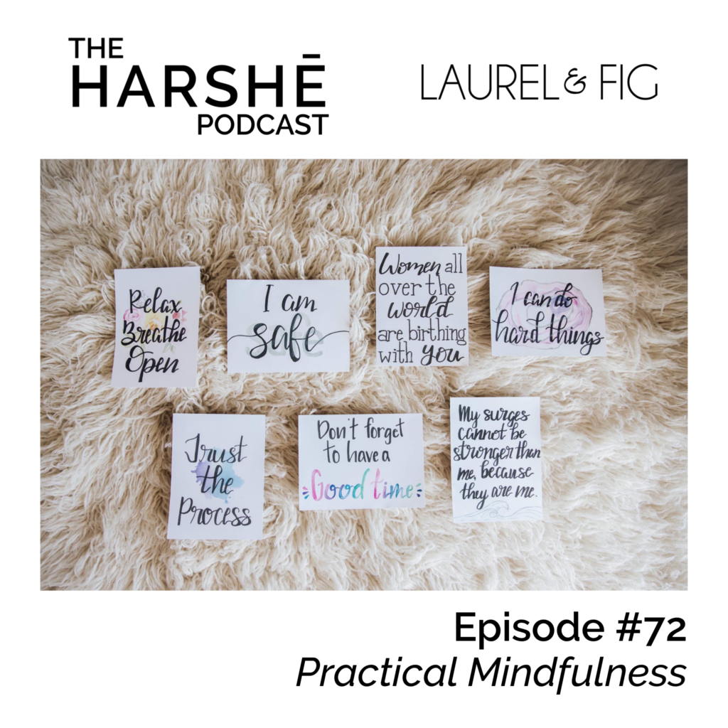 laurel & fig, the harshe podcast, january harshe, brandon harshe, meditation, mindfulness