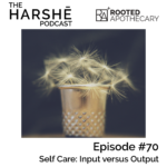 The Harshe Podcast – Episode #70: Self Care: Input Versus Output